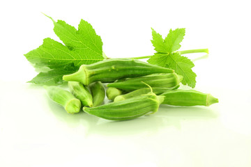 okra with leaves in white background