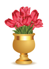 Pink tulips in golden vase