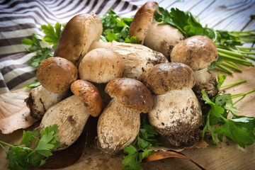 Mushrooms - Porcini