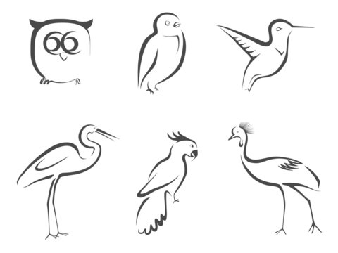Bird lined design
