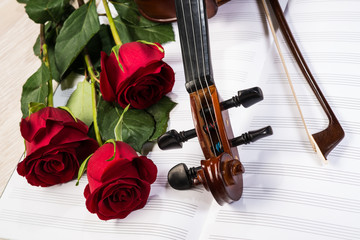 Fototapeta premium Violin, rose and music books