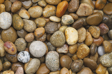 River Rocks