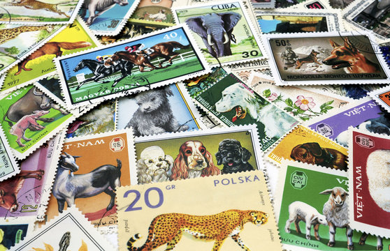 postage stamps with images of flora and fauna