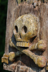 skull on wooden pole - obrazy, fototapety, plakaty