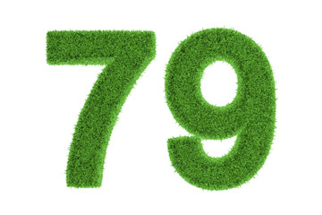 Number 79 with a green grass texture