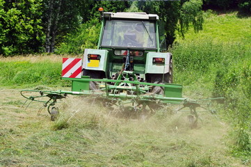 travail du foin