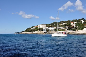 Obraz premium cassis