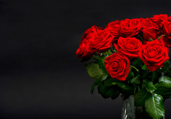 red roses flowers on black background