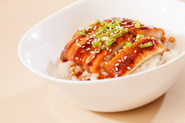 eel on rice,unaju, japanese unagi cuisine