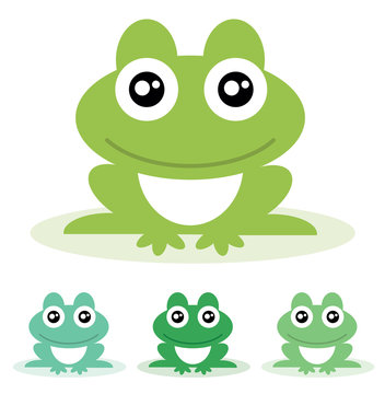 Frog. Vector illustration.