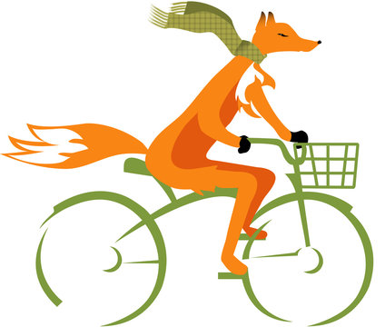 Fox Riding A Bike