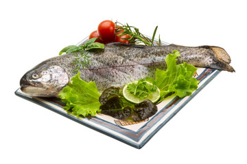 Fresh raw rainbow trout