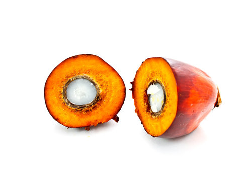 cut oil palm fruit on white background