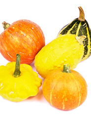 Squash and Pumpkins