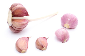 Fresh garlic and pink onions on white background