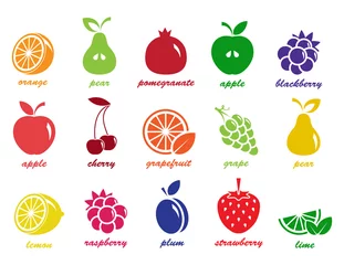 Fotobehang vector collection: fruit icons © roomoftunes