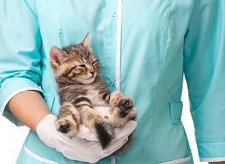 Veterinary survey