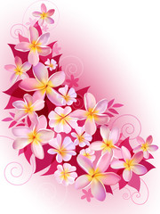 Greeting card or invitation with floral background