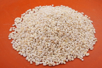 Organic Barley seeds.