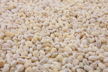 Close up of organic Barley seeds.