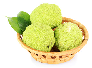 Osage Orange fruits (Maclura pomifera) in basket, isolated