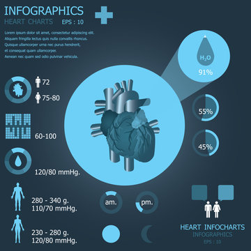 Heart Infographic Infocharts