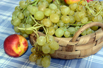 Cestino della frutta