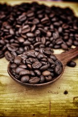Roasted coffee beans