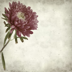 textured old paper background