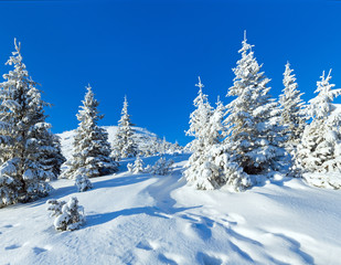 Fototapeta na wymiar Rano zimowy krajobraz górski