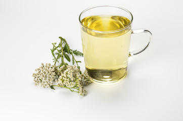 Teetasse mit Kräutertee