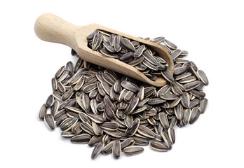 Sunflower seeds