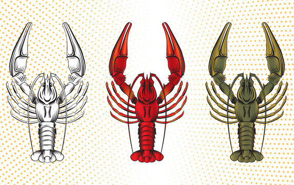 vector set of crawfish