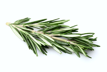 Fototapeta premium Rosemary spice