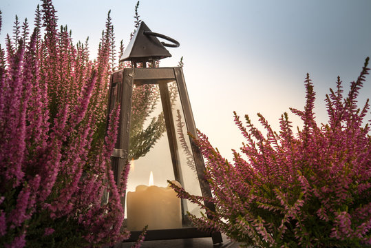 Laterne zwischen Heidekraut