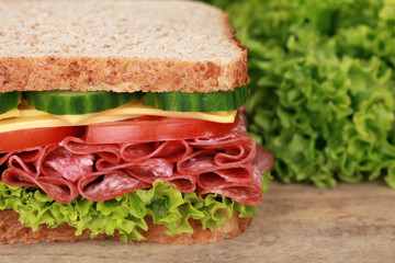 Salami Sandwich mit Copyspace