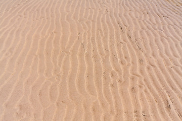 Fototapeta na wymiar Ripple water on the beach