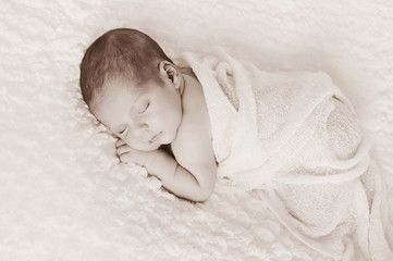 Sepia Toned Newborn Baby Boy Portrait
