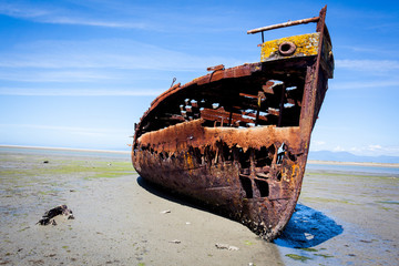 Naklejka premium Shipwreck
