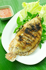 fish grilled with spicy salt in plate , Thai food style