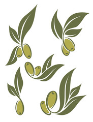 fresh green olives