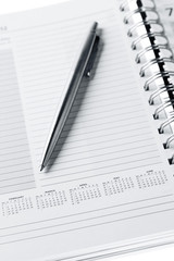 Pen in diary