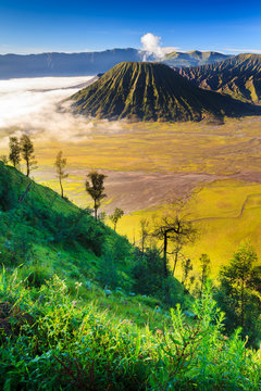 Bromo vocalno at sunrise, East Java, , Indonesia