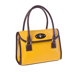 bag, ladies bag on background.