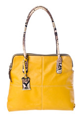 bag, ladies bag on background.