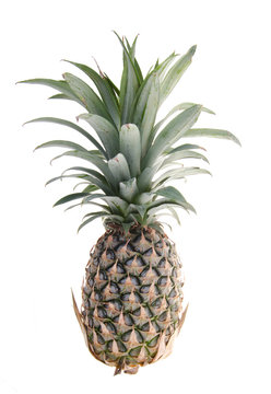 Pineapple, Pineapple tropical fruit on background