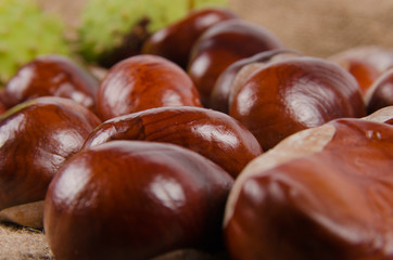 Sweet chestnuts