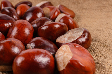 Obraz premium Whole fresh chestnuts