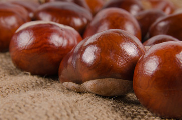 Whole fresh chestnuts