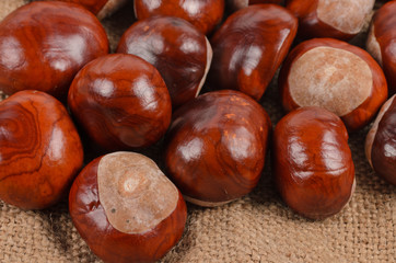 Whole autumn chestnuts